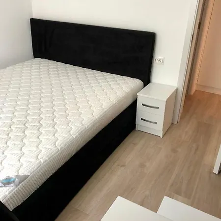 Apartment Liviu's