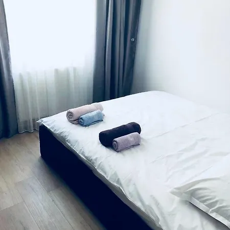 Apartment Liviu's *