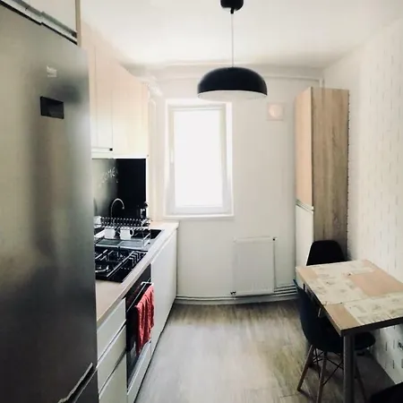 Apartment Liviu's *
