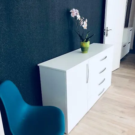 Apartment Liviu's Brasov